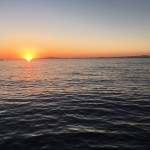 今日からお前が富士山だ!!