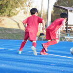 木曜個サルは雨で中止でした…😭