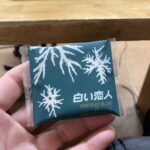 【12/5-金曜フットサル教室】19名様にご参加いただきましたー！