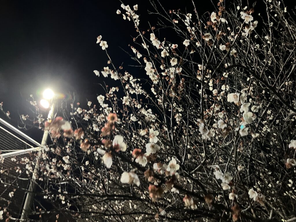 三重フットサルクラブ