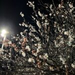 【3/7-土曜個サル】20名様にご参加いただきましたー！