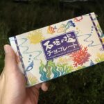【三重・桑名で個サル開催】月曜個サルを15名様で開催しました！